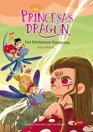 PRINCESAS DRAGÓN 5: LOS HERMANOS TORMENTA | 9788491073116 | MAÑAS ROMERO, PEDRO