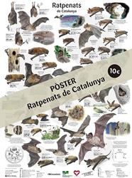 RATPENATS DE CATALUNYA (POSTER)  | 9788413564630
