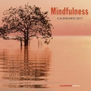 2017-CALENDARIO MINDFULNESS  | 9788448022662 | AA. VV.