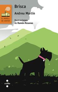 BRISCA | 9788466139441 | MARTÍN, ANDREU