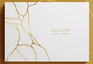 AURUM | 9788409480173 | TORRES, SERGI