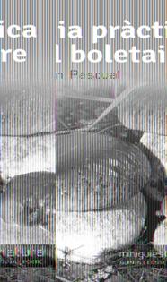 GUIA PRÀCTICA DEL BOLETAIRE | 9788490342473 | PASCUAL, RAMON