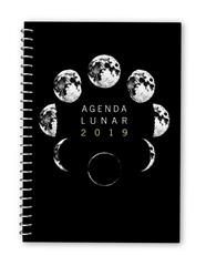 2019-AGENDA LUNAR | 9788417166144 | COLOM, MAITE