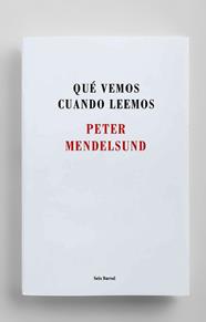 QUÉ VEMOS CUANDO LEEMOS | 9788432225192 | MENDELSUND, PETER
