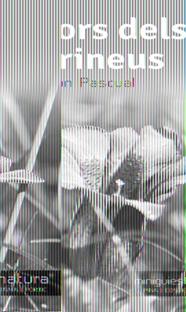 FLORS DELS PIRINEUS | 9788490342503 | PASCUAL, RAMON