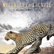 2016-CALENDARIO NATURALEZA SALVAJE  | 9788448021689 | AA. VV.