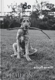 VIDA DE PERROS | 9781838669744 | ERWITT, ELLIOTT