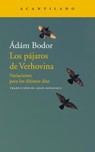 PÁJAROS DE VERHOVINA, LOS | 9788417346706 | ÁDÁM BODOR