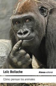 CÓMO PIENSAN LOS ANIMALES | 9788411489461 | BOLLACHE, LOÏC