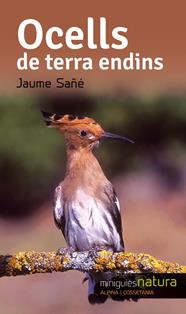 OCELLS TERRA ENDINS | 9788490343357 | SAÑÉ, JAUME