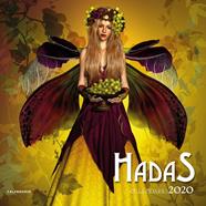 CALENDARIO 2020- HADAS | 9788448026240 | AA. VV.