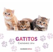 2014- CALENDARIO GATITOS | 9788448011680 | AA. VV.