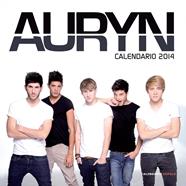 2014- CALENDARIO AURYN | 9788448011147 | AA. VV.