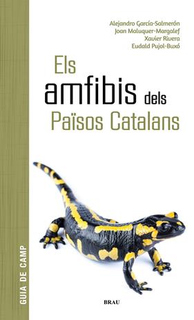AMFIBIS DELS PAÏSOS CATALANS, ELS | 9788418096341 | GARCÍA SALMERÓN, ALEJANDRO/MALUQUER MARGALEF, JOAN/RIVERA MULA, XAVIER/PUJOL BUXÓ, EUDALD
