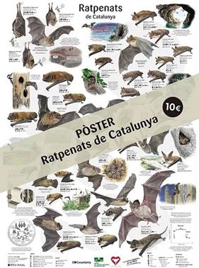RATPENATS DE CATALUNYA (POSTER)  | 9788413564630