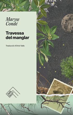 TRAVESSA DEL MANGLAR | 9788419515001 | CONDE, MARYSE