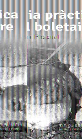 GUIA PRÀCTICA DEL BOLETAIRE | 9788490342473 | PASCUAL, RAMON