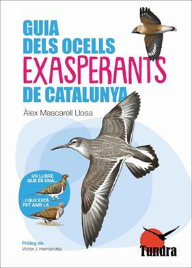 GUIA DELS OCELLS EXASPERANTS DE CATALUNYA | 9788419624802 | MASCARELL, ALEX