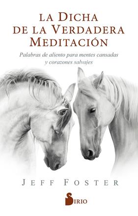 DICHA DE LA VERDADERA MEDITACIÓN, LA | 9788418000522 | FOSTER, JEFF