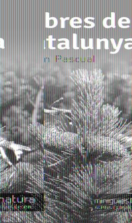 ARBRES DE CATALUNYA | 9788490342497 | PASCUAL, RAMON