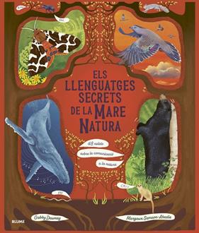 LLENGUATGES SECRETS DE LA MARE NATURA, ELS | 9788410469952 | DAWNAY, GABBY/SAMSON ABADIE, MARGAUX