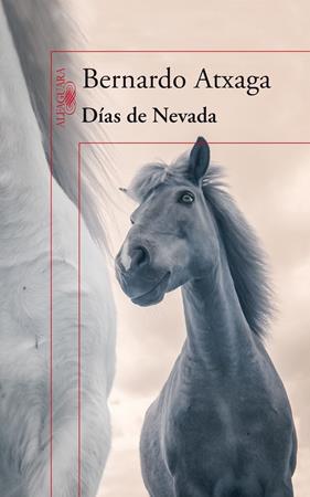 DIAS DE NEVADA | 9788420415987 | ATXAGA, BERNARDO