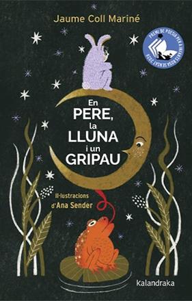 EN PERE, LA LLUNA I UN GRIPAU | 9788410387423 | COLL MARINÉ, JAUME/ SENDER, ANA