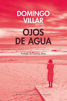 OJOS DE AGUA (COLECCIÓN ESCOLAR DE LITERATURA) | 9791387688165 | VILLAR, DOMINGO