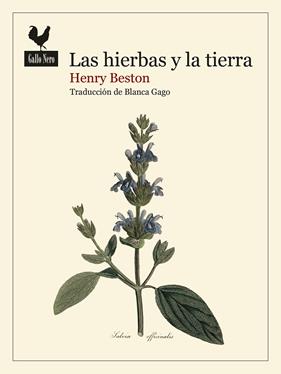 HIERBAS Y LA TIERRA, LAS | 9788419168740 | BESTON, HENRY