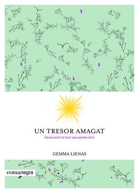 UN TRESOR AMAGAT | 9788416605347 | LIENAS, GEMMA