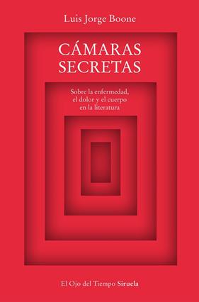 CÁMARAS SECRETAS | 9788419207463 | BOONE, LUIS JORGE