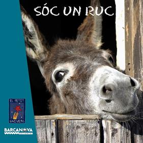 SÓC UN RUC | 9788448931469