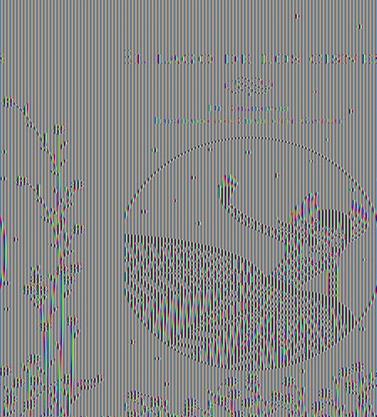 LAGO DE LOS CISNES, EL | 9788415357582 | GASTAUT, CHARLOTTE