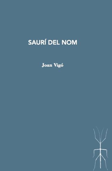 SAURÍ DEL NOM | 9788412457537 | VIGO, JOAN