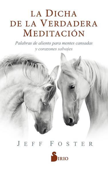 DICHA DE LA VERDADERA MEDITACIÓN, LA | 9788418000522 | FOSTER, JEFF