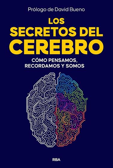 SECRETOS DEL CEREBRO, LOS | 9788410981249