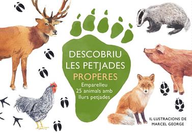 DESCOBRIU LES PETJADES PROPERES | 8425402888735
