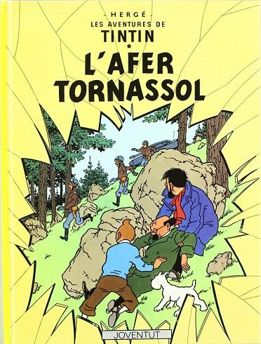 AFER TORNASOL, L' | 9788426110602 | HERGE