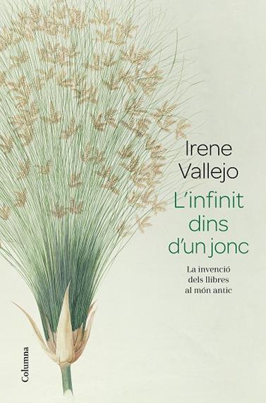 INFINIT DINS D'UN JONC, L' | 9788466426947 | VALLEJO, IRENE