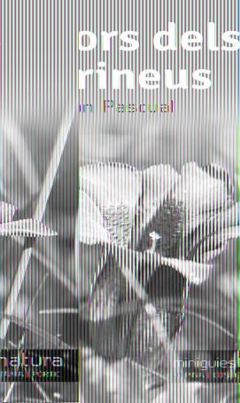 FLORS DELS PIRINEUS | 9788490342503 | PASCUAL, RAMON