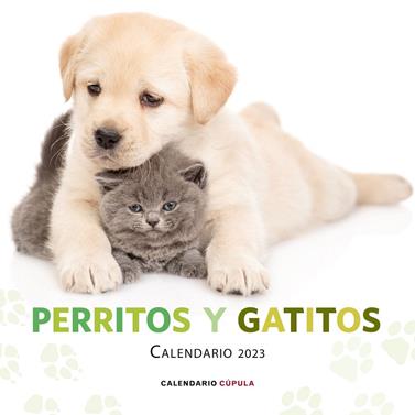 2023-CALENDARIO PERRITOS Y GATITOS  | 9788448029807 | AA. VV.