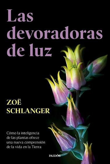 DEVORADORAS DE LUZ, LAS | 9788449343742 | SCHLANGER, ZOË