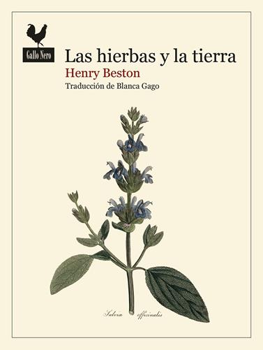 HIERBAS Y LA TIERRA, LAS | 9788419168740 | BESTON, HENRY