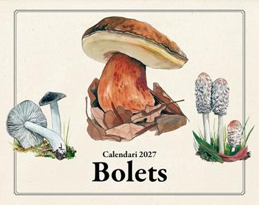 2027 CALENDARI BOLETS | 8415001051319