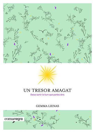 UN TRESOR AMAGAT | 9788416605347 | LIENAS, GEMMA