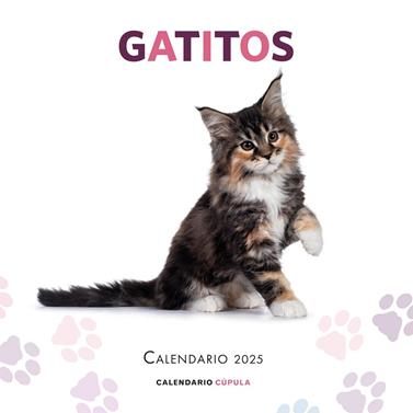 2025 CALENDARIO GATITOS  | 9788448041656 | AA. VV.