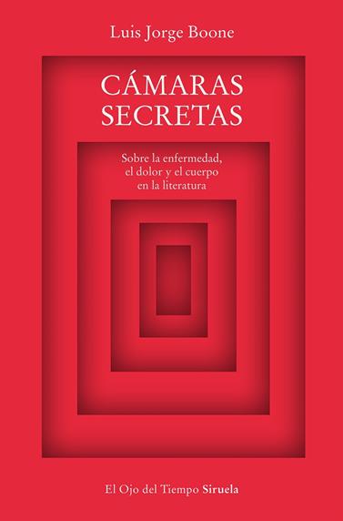 CÁMARAS SECRETAS | 9788419207463 | BOONE, LUIS JORGE