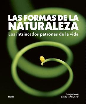 FORMAS DE LA NATURALEZA, LAS | 9788410469822 | MAITLAND, DAVID